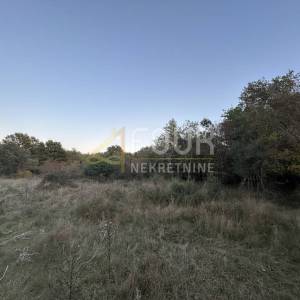 Istra, Pula - Veli Vrh, poljoprivredno zemljište 4.983m2