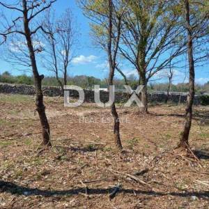 ISTRA, RAKALJ - Građevinsko zemljište sa pogledom na more 