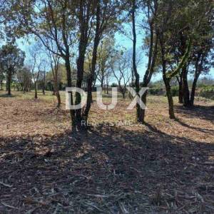 ISTRA, RAKALJ - Građevinsko zemljište sa pogledom na more 