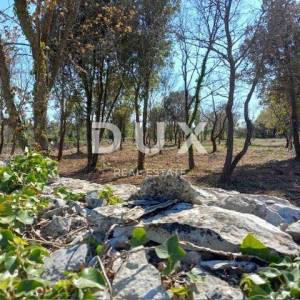 ISTRA, RAKALJ - Građevinsko zemljište sa pogledom na more 