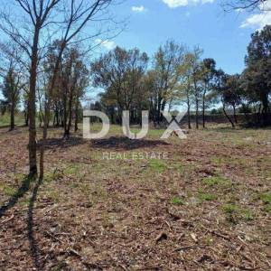 ISTRA, RAKALJ - Građevinsko zemljište sa pogledom na more 