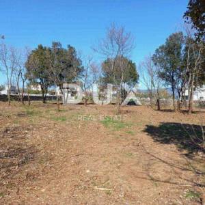 ISTRA, RAKALJ - Građevinsko zemljište sa pogledom na more 