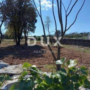 ISTRA, RAKALJ - Građevinsko zemljište sa pogledom na more 