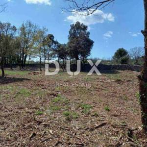 ISTRA, RAKALJ - Građevinsko zemljište sa pogledom na more 