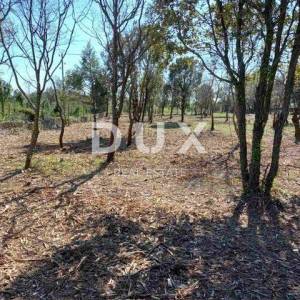 ISTRA, RAKALJ - Građevinsko zemljište sa pogledom na more 