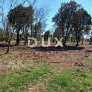 ISTRA, RAKALJ - Građevinsko zemljište sa pogledom na more 