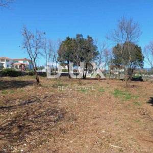 ISTRA, RAKALJ - Građevinsko zemljište sa pogledom na more 