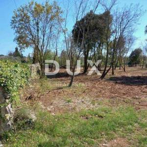 ISTRA, RAKALJ - Poljoprivredno zeljište na top lokaciji