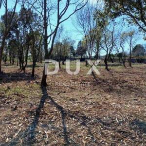 ISTRA, RAKALJ - Poljoprivredno zeljište na top lokaciji