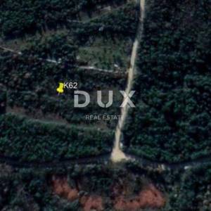 ISTRA, ROVINJ - Idealna poljoprivredna parcela