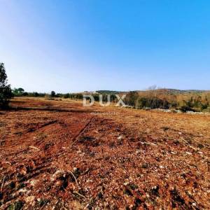 ISTRA, ROVINJ - Idealna poljoprivredna parcela