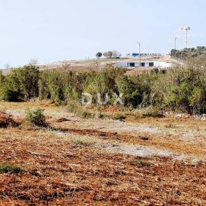 ISTRA, ROVINJ - Idealna poljoprivredna parcela