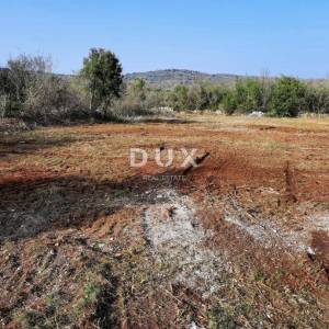 ISTRA, ROVINJ - Idealna poljoprivredna parcela