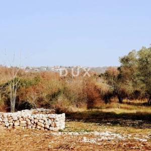 ISTRA, ROVINJ - Idealna poljoprivredna parcela