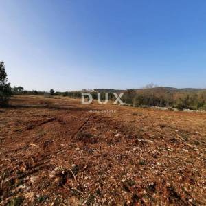 ISTRA, ROVINJ - Idealna poljoprivredna parcela