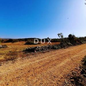 ISTRA, ROVINJ - Idealna poljoprivredna parcela