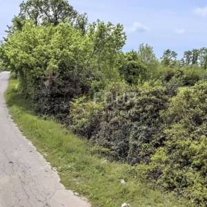 Istra, Svetvinčenat - Juršići, 883m2, zemljište s građevinskom dozvolom