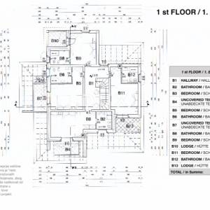 ISTRA, TINJAN - Raskošna kuća s bazenom