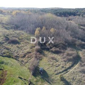 ISTRA, TRVIŽ Izvrsna poljoprivredna prilika