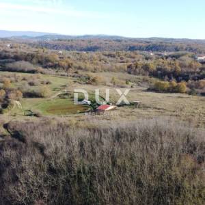 ISTRA, TRVIŽ Izvrsna poljoprivredna prilika