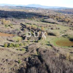 ISTRA, TRVIŽ Izvrsna poljoprivredna prilika