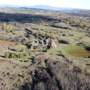 ISTRA, TRVIŽ Izvrsna poljoprivredna prilika