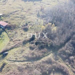 ISTRA, TRVIŽ Izvrsna poljoprivredna prilika