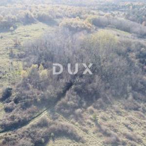 ISTRA, TRVIŽ Izvrsna poljoprivredna prilika