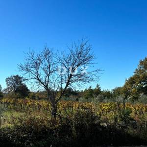 ISTRA, ŽMINJ - Nova mediteranska kuća s pogledom na vinograd u privatnom kompleksu!