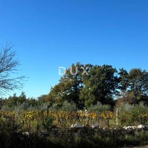 ISTRA, ŽMINJ - Nova mediteranska kuća s pogledom na vinograd u privatnom kompleksu!