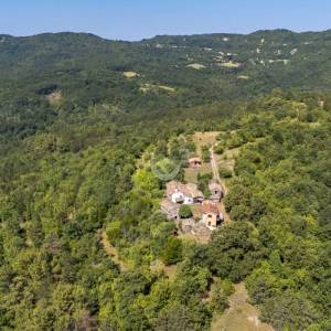 Istra,Imanje na prodaju,  Oaza mira priroda i privatnost na površini od 20 000 m2