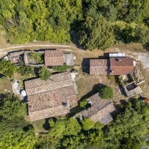 Istra,Imanje na prodaju,  Oaza mira priroda i privatnost na površini od 20 000 m2