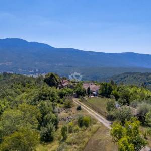 Istra,Imanje na prodaju,  Oaza mira priroda i privatnost na površini od 20 000 m2
