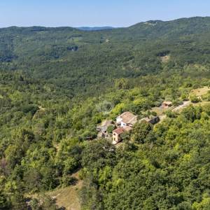 Istra,Imanje na prodaju,  Oaza mira priroda i privatnost na površini od 20 000 m2