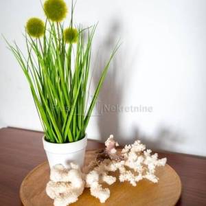 JAZINE, STAN 86m2 + 141m2 OKUĆNICE, UHODAN U TURIZMU, TOP LOKACIJA