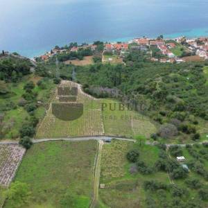 KAMENA KUĆA NA PELJEŠCU