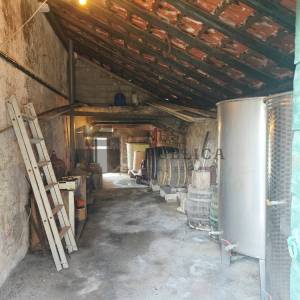 KAMENA KUĆA NA PELJEŠCU