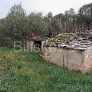 Kamena kuća s 5 manjih objekta u Dolu, Hvar, prodaja