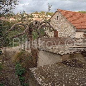 Kamena kuća s 5 manjih objekta u Dolu, Hvar, prodaja