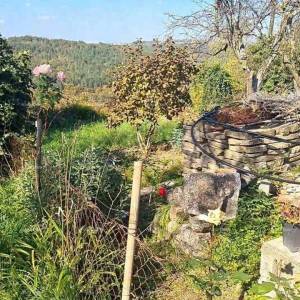 Kamena kuća s okućnicom i započetom renovacijom – okolica Pazina