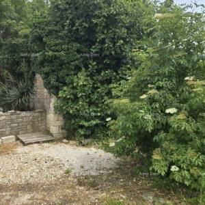 Kamena kuća za renovaciju – Svetvinčenat, Istra