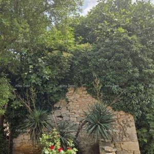 Kamena kuća za renovaciju – Svetvinčenat, Istra