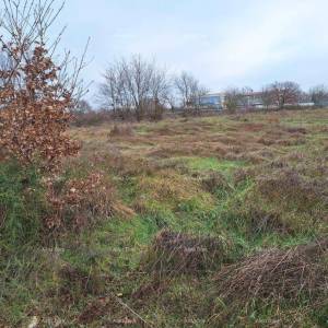 KANFANAR - Prodaje se građevinsko zemljište / građevinska dozvola