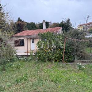 Kantrida - Šarmantna prizemnica s velikom okućnicom