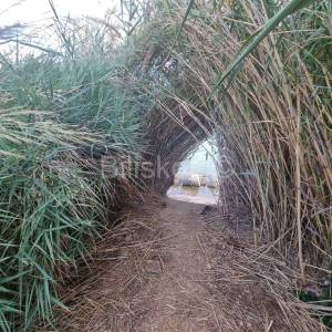 Kaštel Štafilić, građ. zemljište 1.red do mora M5 zona