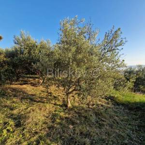 Kaštel Stari, objekt na velikom poljop. zemljištu, prodaja