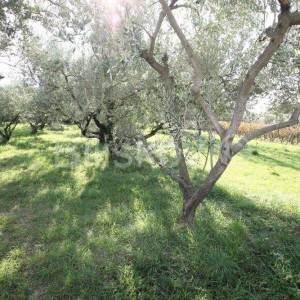 Kaštel Sućurac, građevinsko 873m2, prodaja