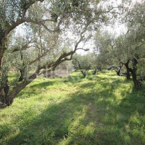 Kaštel Sućurac, građevinsko 873m2, prodaja