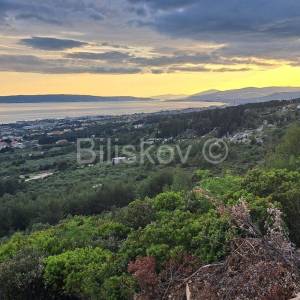 Kaštel Sućurac, zemljište s dozvolom HOTEL ZA PSE