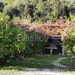 Kastela, Kastel Luksic, samostojeca kuca i cca. 3.000 m2 zemljista.